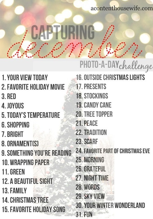 december photo a day challenge